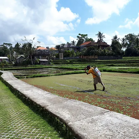 Villa Kirani Ubud By Mahaputra-3